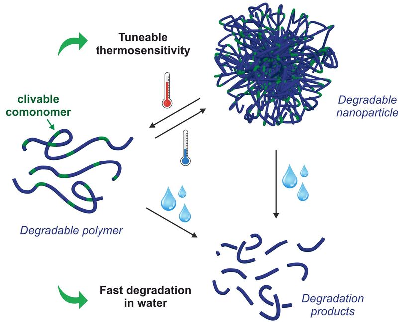 Toward New Degradable Polymers Cnrs