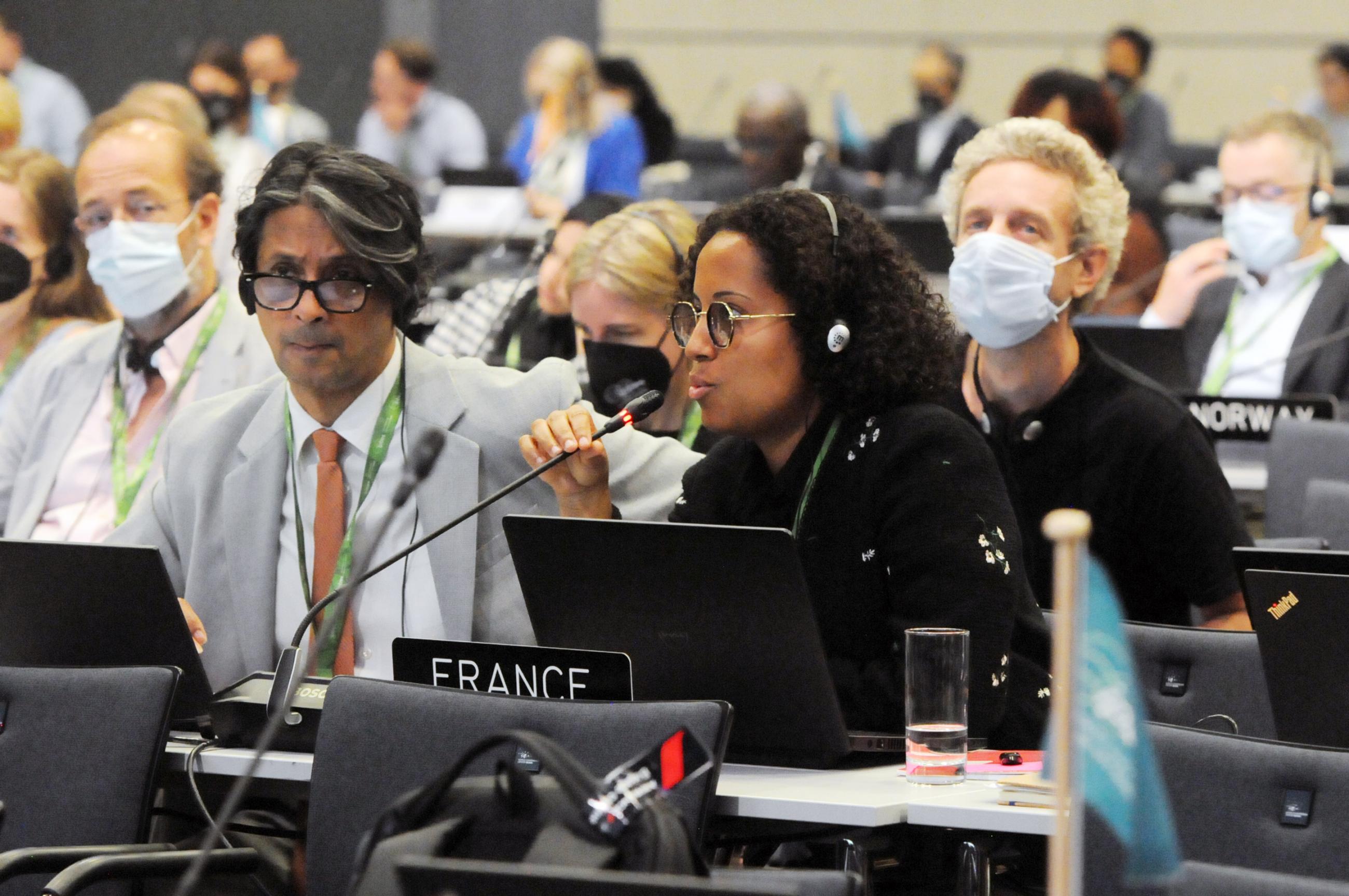 La délégation française pendant la neuvième plénière de l'IPBES (groupe de travail 1). 