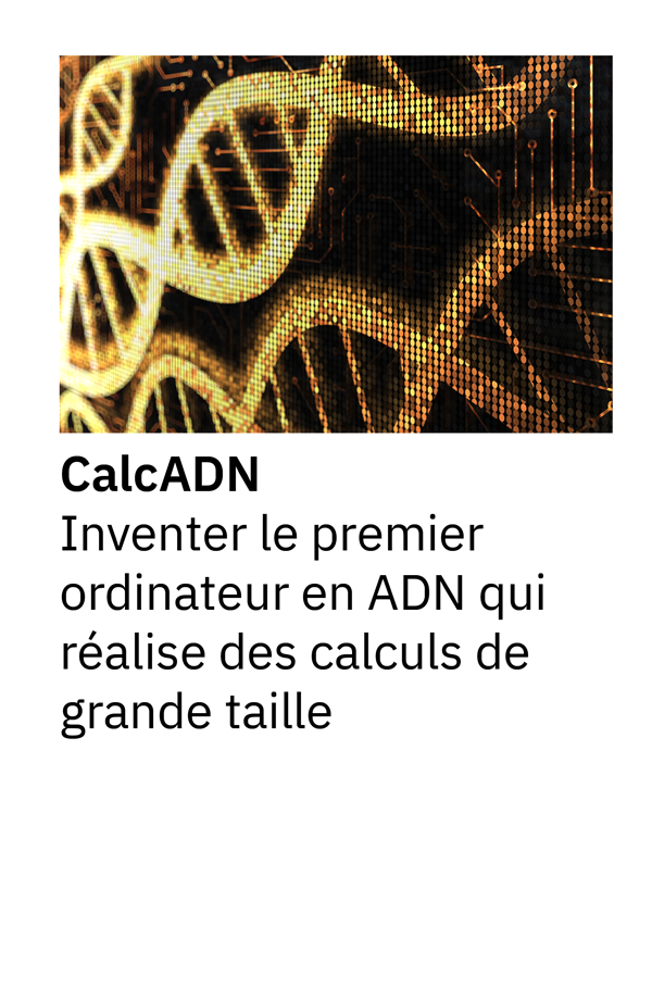 CalcADN : Inventer le premier ordinateur en ADN qui réalise des calculs de grande taille