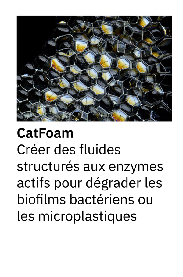 CatFoam : Créer des fluides structurés aux enzymes actifs pour dégrader les biofilms bactériens ou les microplastiques