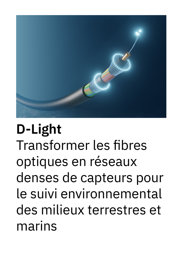 D-Light : Transformer les fibres optiques en réseaux denses de capteurs pour le suivi environnemental des milieux terrestres et marins