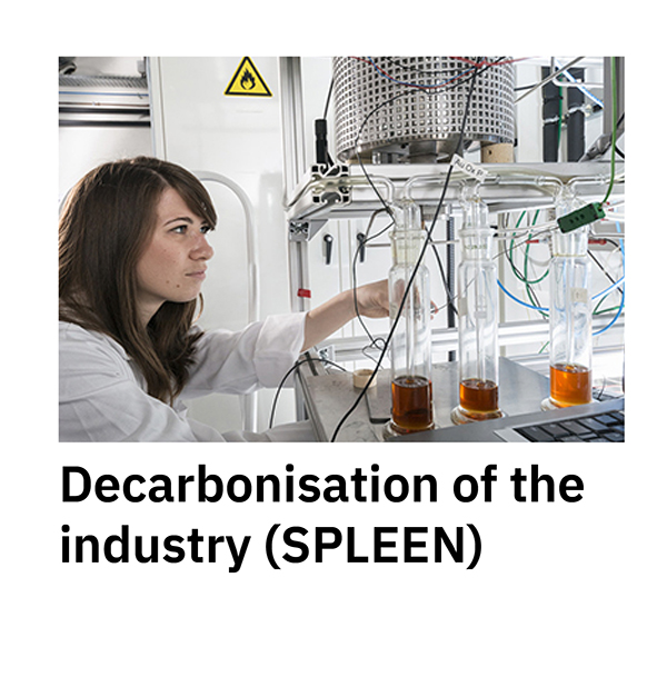 Decarbonisation of the industry (SPLEEN)