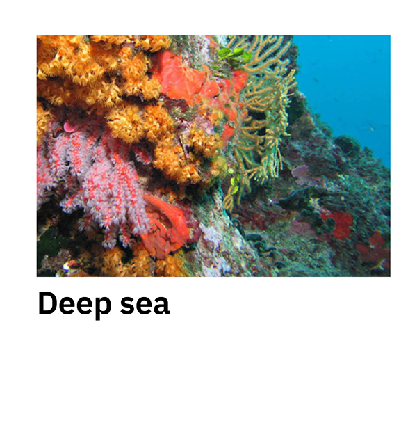 Deep sea