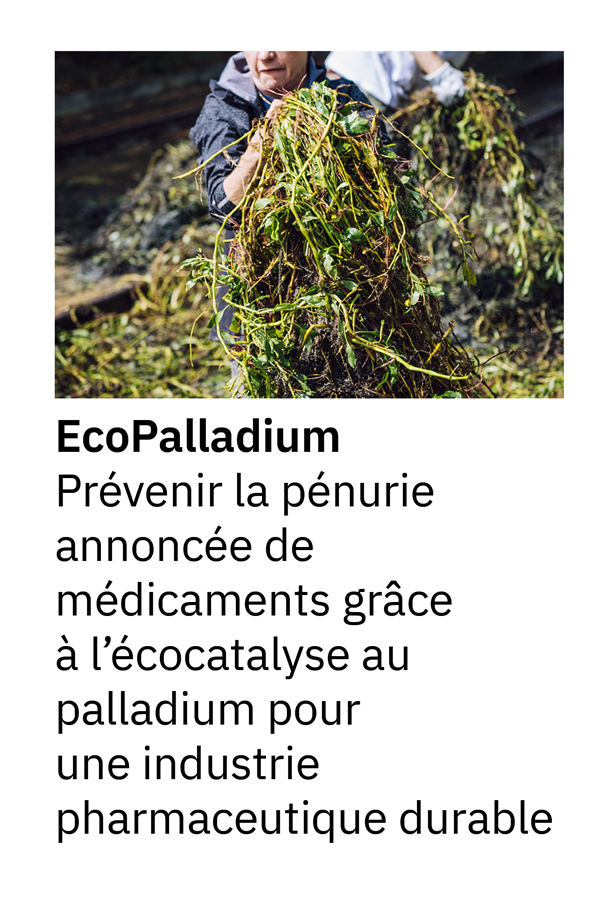 EcoPalladium : Prévenir la pénurie annoncée de médicaments grâce à l’écocatalyse au palladium pour une industrie pharmaceutique durable