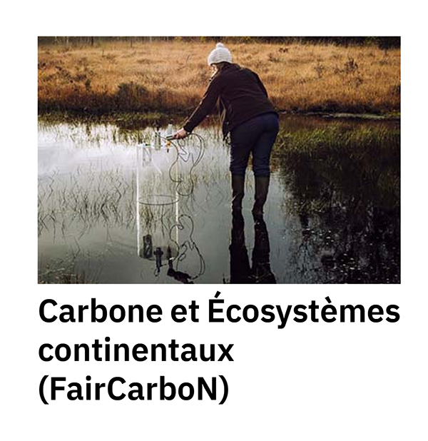 Carbone et écosystèmes continentaux (FairCarbon)