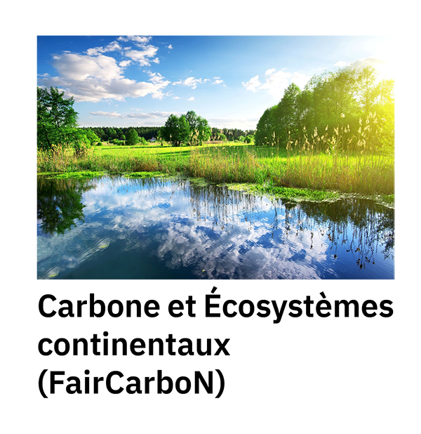 Carbone et Écosystèmes continentaux (FairCarboN)