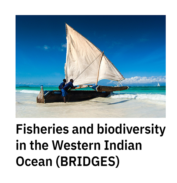 Fisheries and biodiversity in the Western Indian Ocean (BRIDGES)