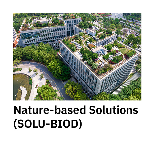 Nature-based Solutions (SOLU-BIOD)