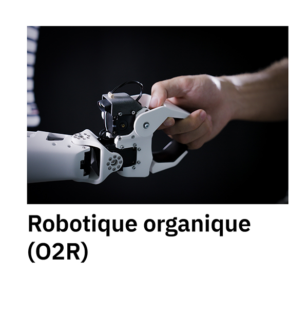 Robotique organique (O2R)