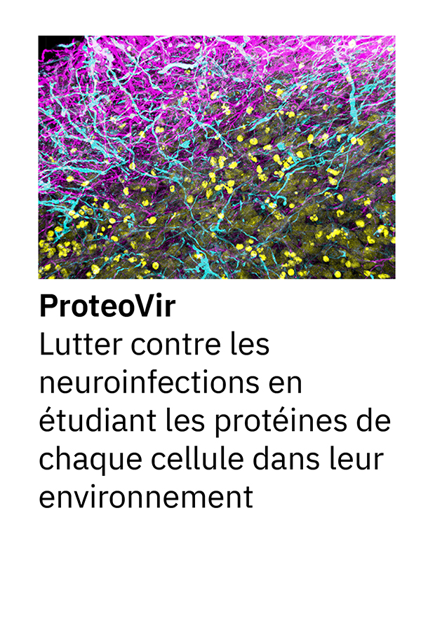 ProteoVir, Lutter contre les neuroinfections en étudiant les protéines de chaque cellule dans leur environnement