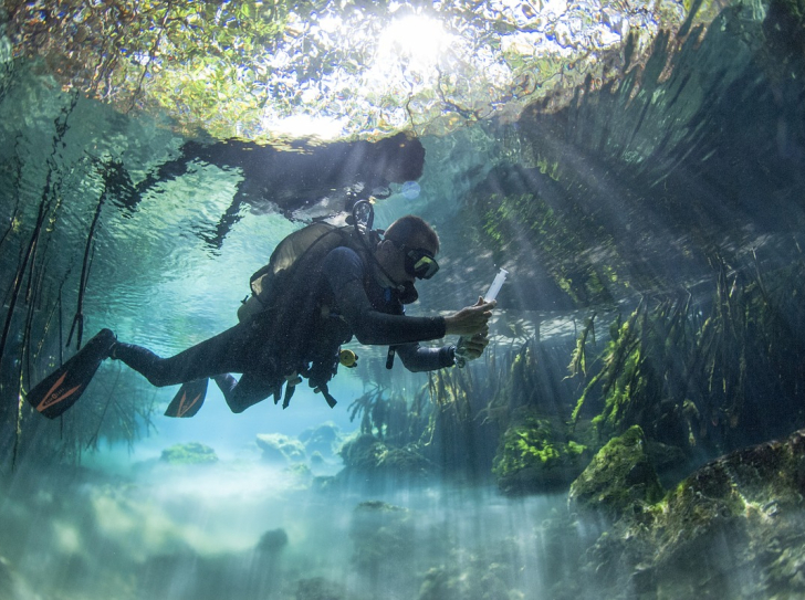 Plongeur parmi les racines de palétuviers de la lagune de Xel-Ha au Mexique