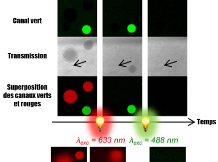 Light-induced vesicle explosions to mimic cellular reactions