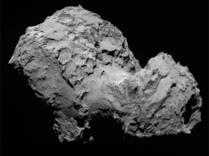Does the organic material of comets predate our Solar System ?