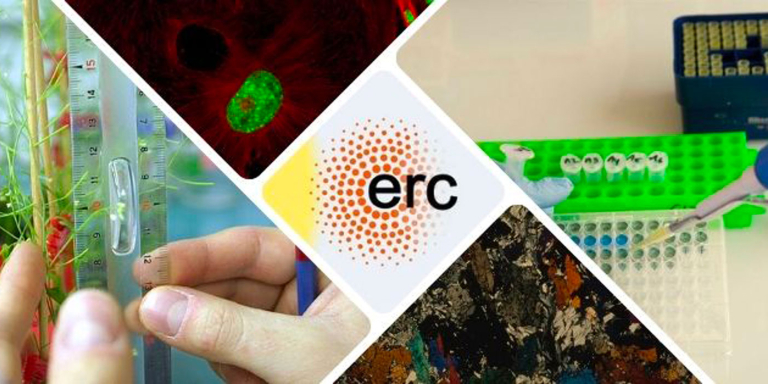 Montage de photos avec le logo ERC au milieu