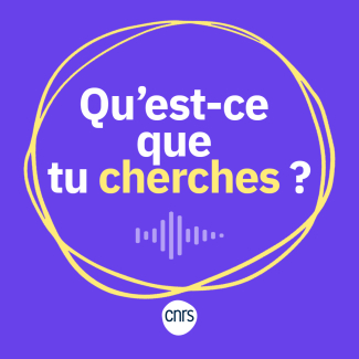 Qu'est ce que tu cherches ? 